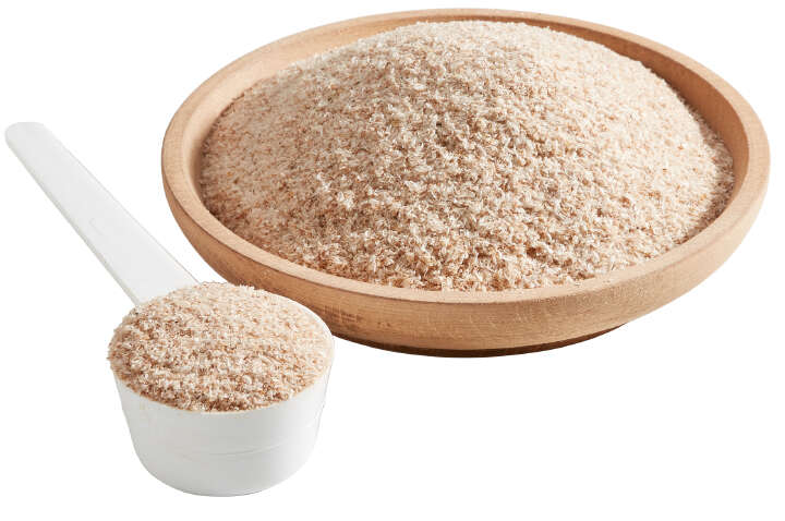 Galopp Indischer Flohsamen